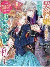 三十日合租计划 短剧海报